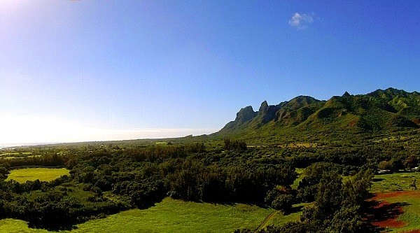 6020 Lot Road, Unit 48 Kilauea, HI 96754 - Photo 3 of 10 Gallery Image 3