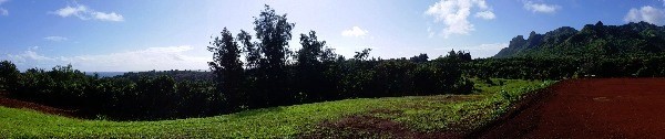 6020 Lot Road, Unit 48 Kilauea, HI 96754 - Photo 7 of 10 Gallery Image 7