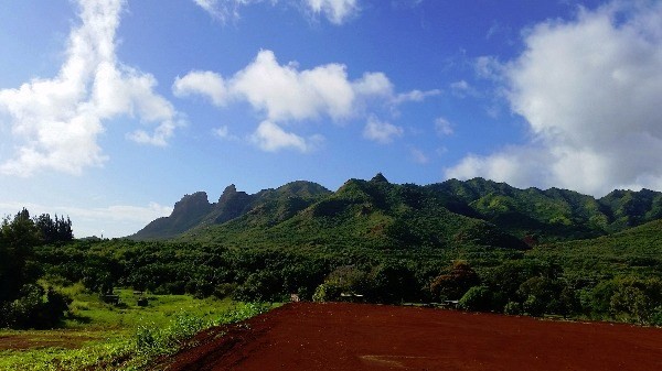 6020 Lot Road, Unit 48 Kilauea, HI 96754 - Photo 9 of 10 Gallery Image 9
