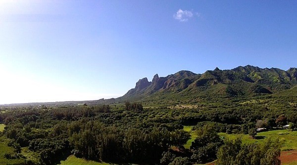 6020 Lot Road, Unit 48 Kilauea, HI 96754 - Photo 10 of 10 Gallery Image 10
