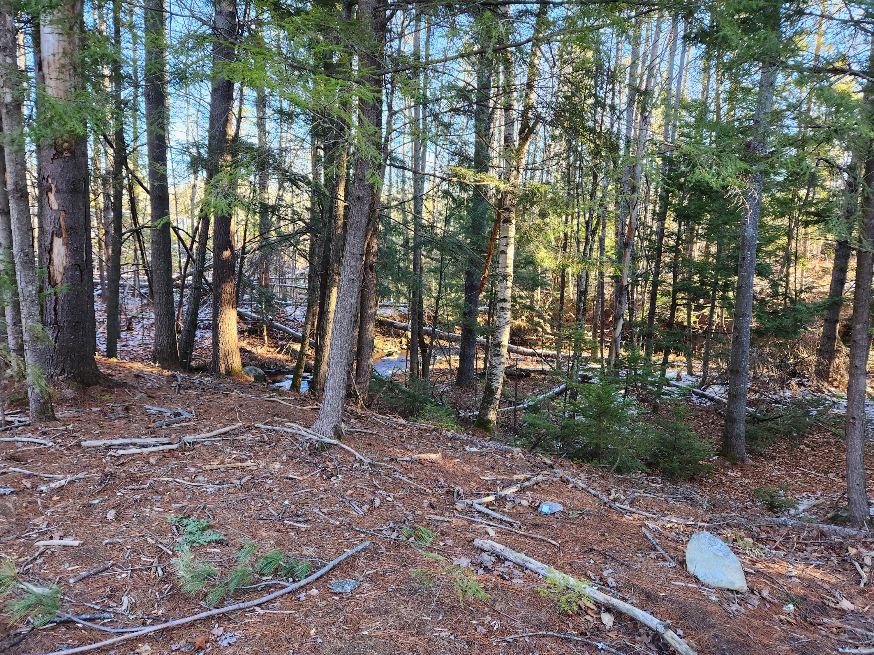 871 Buckfield Road Hebron, ME 04238 - Photo 7 of 18 20221122_083738