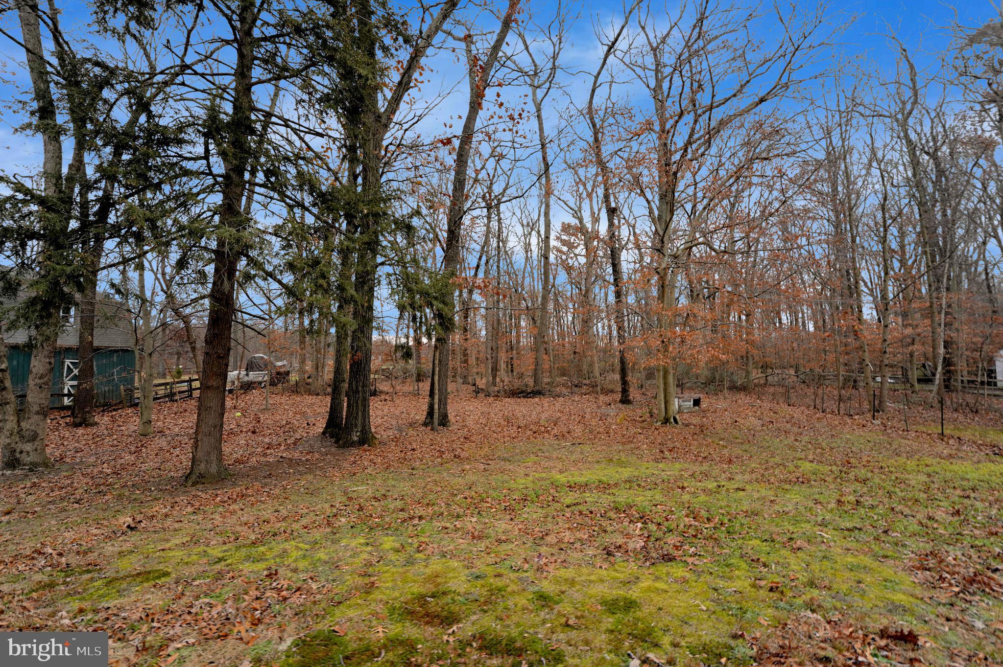 342 East Millstream Road Cream Ridge, NJ 08514 - Photo 19 of 21