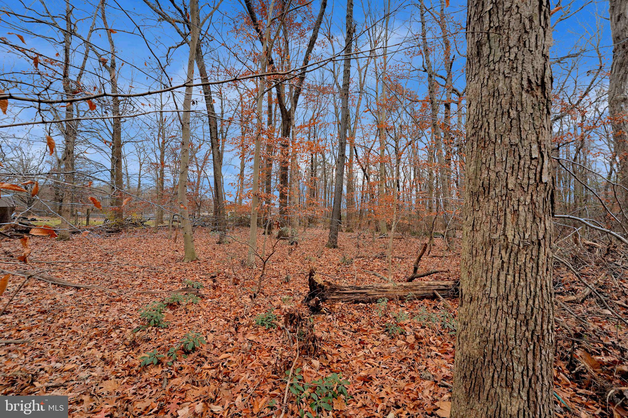 342 East Millstream Road Cream Ridge, NJ 08514 - Photo 20 of 21