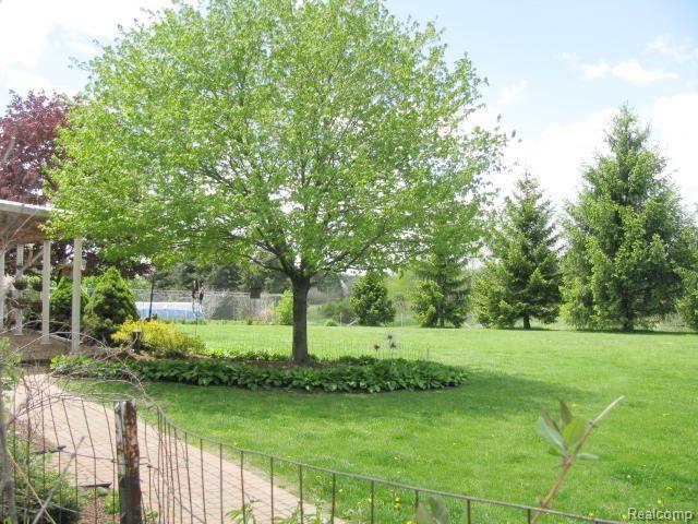 73555 Dequindre Road Leonard, MI 48367 - Photo 42 of 44 Back yard