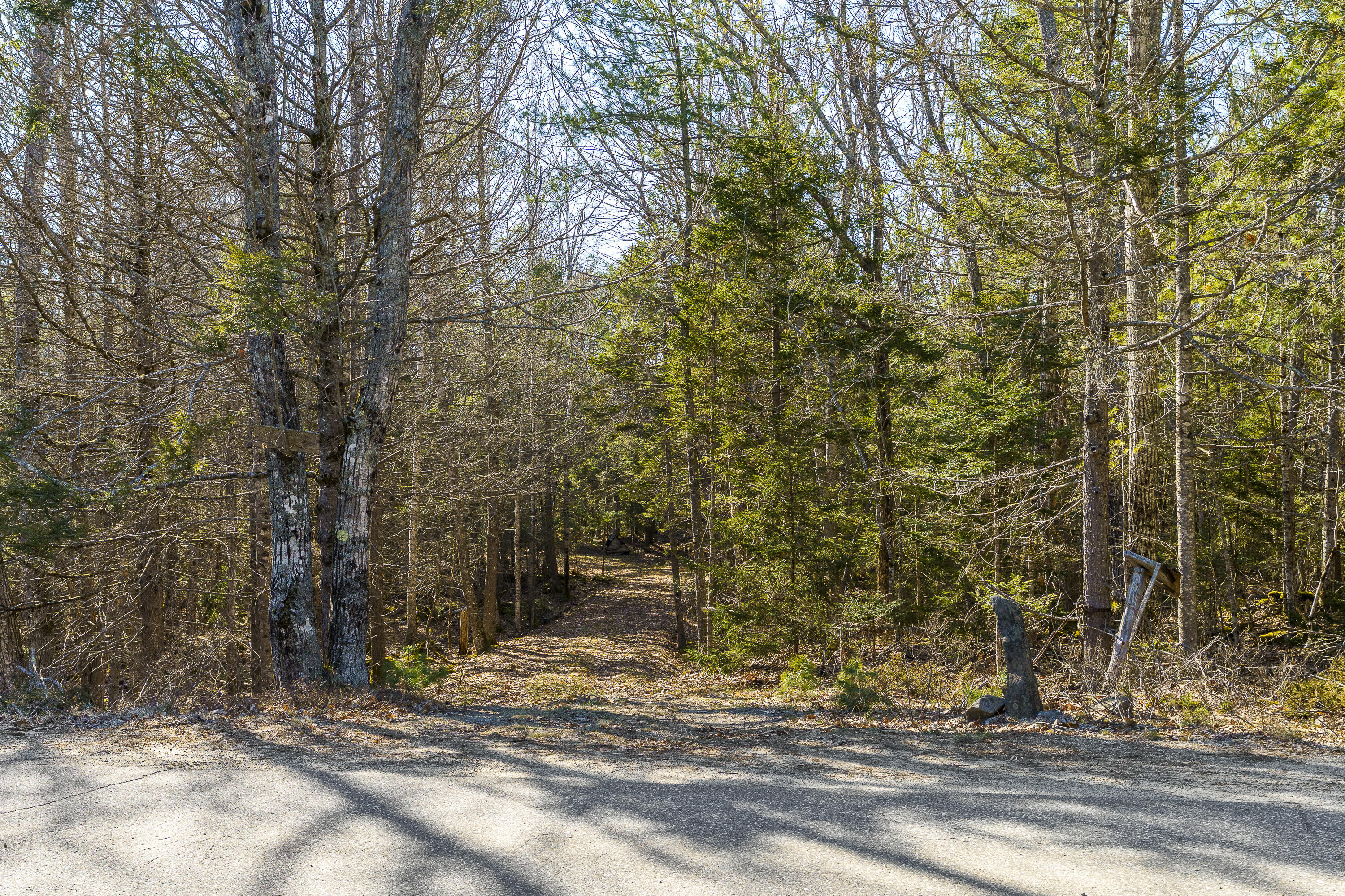 1357 Main Road Westport Island, ME 04578 - Photo 5 of 38