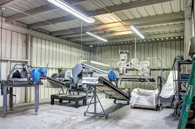 a room with furniture and two windows