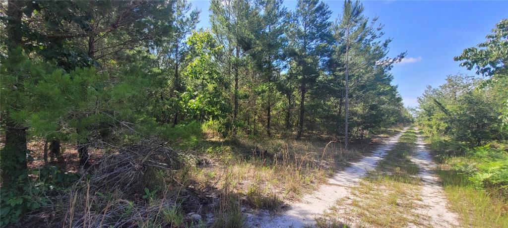 Union Way Lee, FL 32059 - Photo 7 of 15