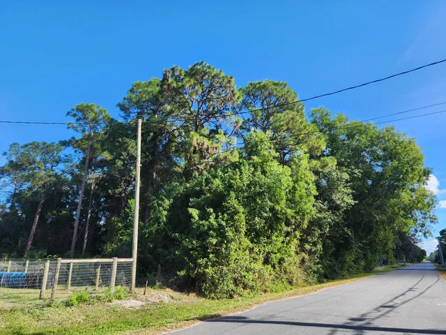 a backyard of a house with lots of green space and garden