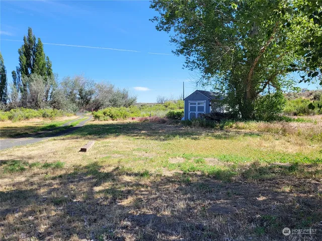 a view of a yard with a house in the background