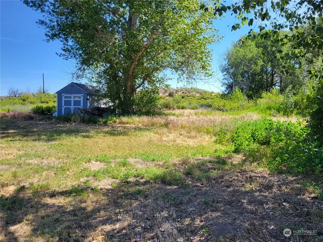 a view of a backyard