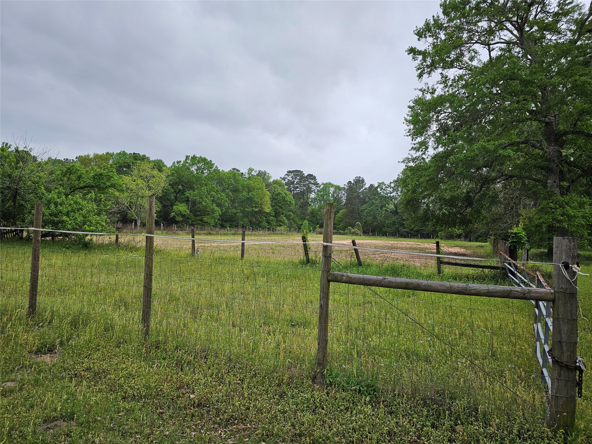 15784 Tree Monkey Road Conroe, TX 77303 - Photo 7 of 40