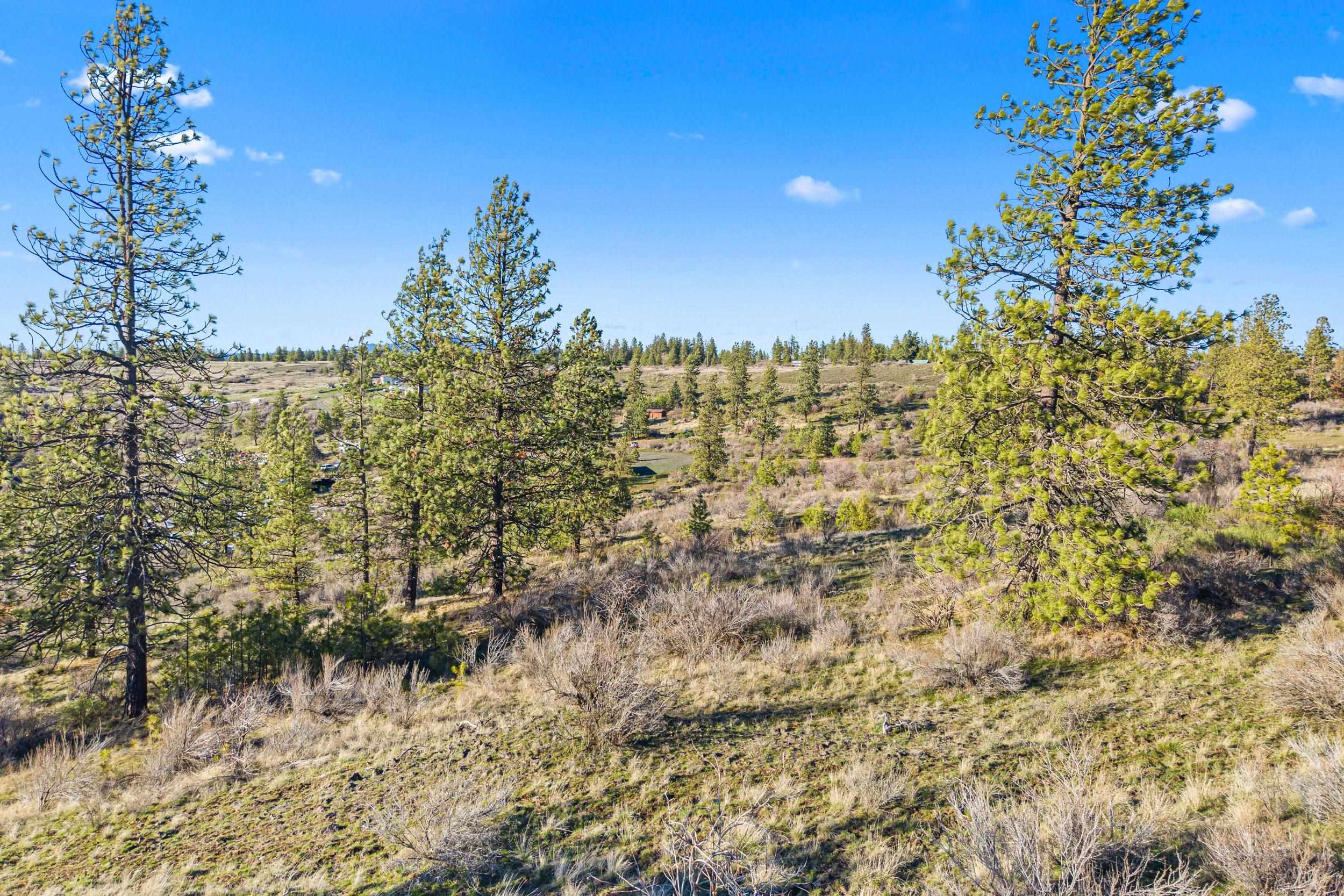 27220 Underwood Cyn Road East Creston, WA 99117 - Photo 2 of 13