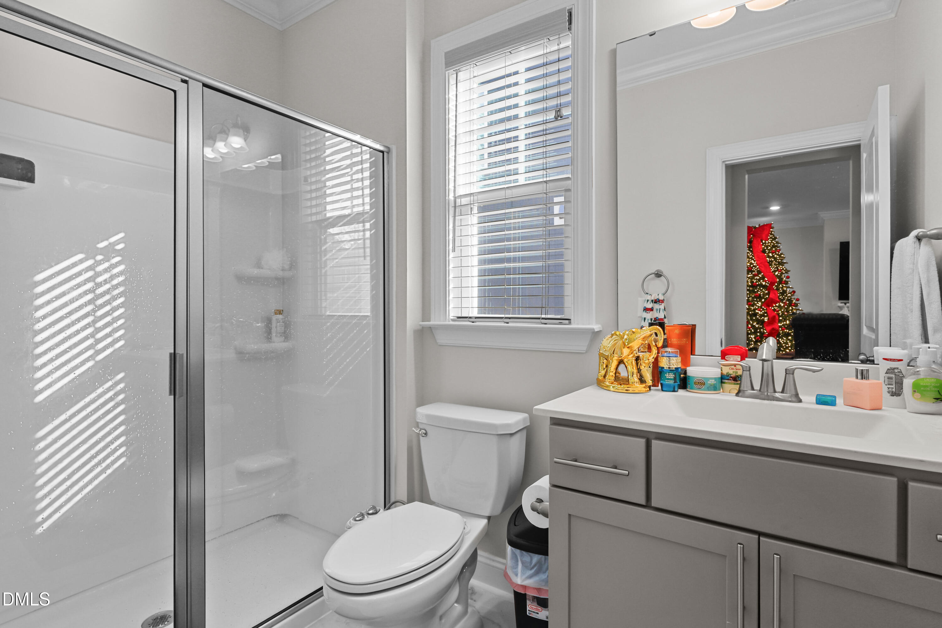 6117 Balance Court Raleigh, NC 27616 - Photo 18 of 44 a bathroom with a sink toilet vanity and shower