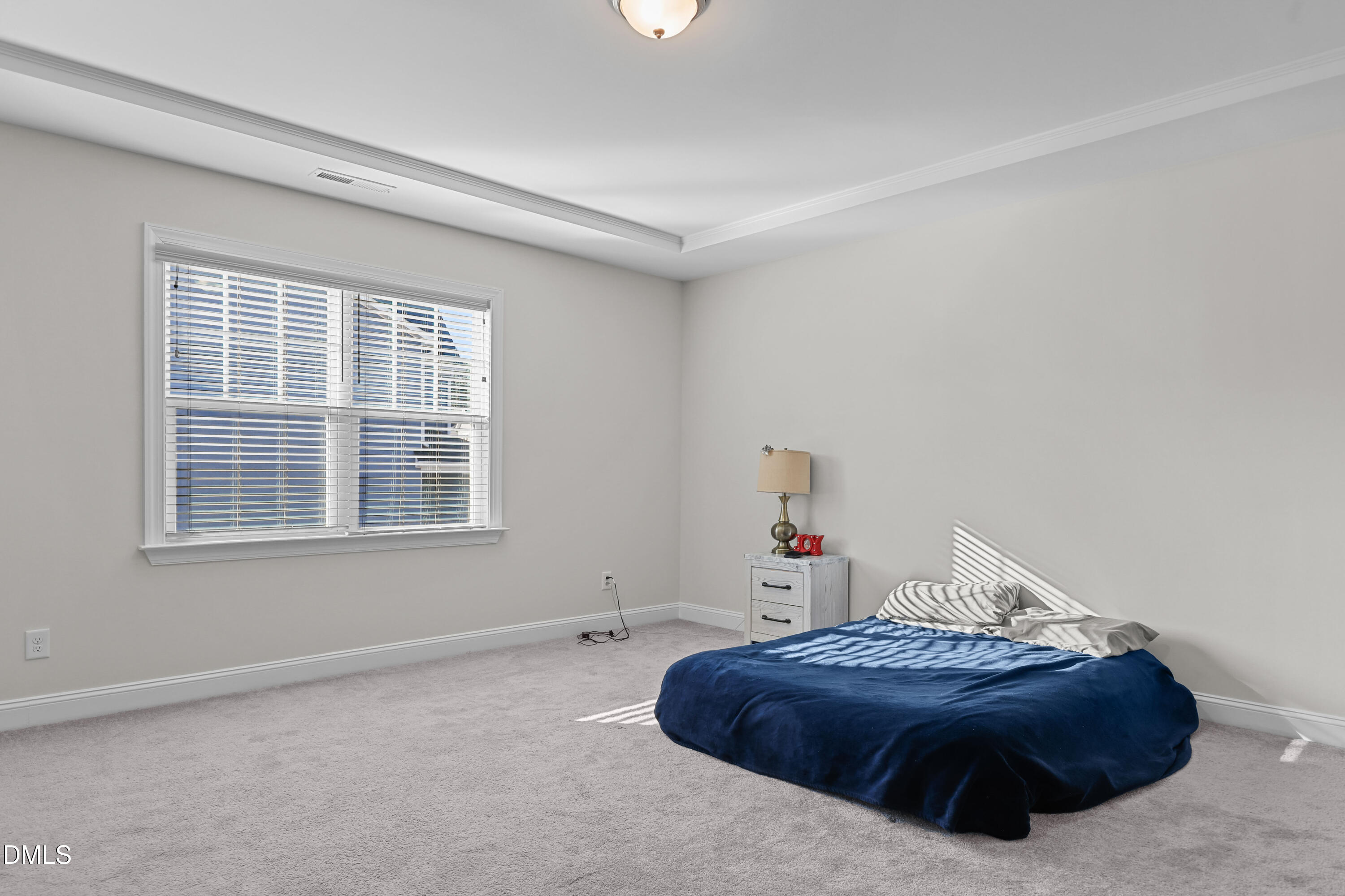 6117 Balance Court Raleigh, NC 27616 - Photo 24 of 44 a room with a bed and a window