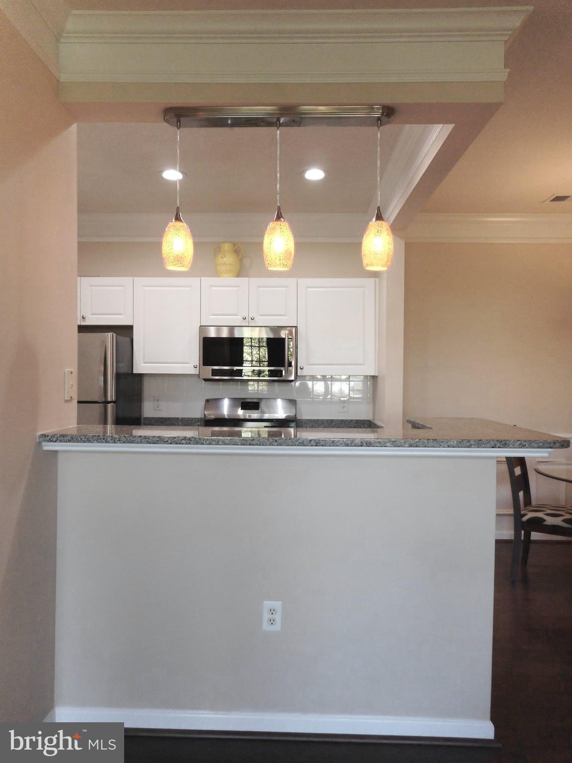 502 Sunset View Terrace Southeast, Unit 302 Leesburg, VA 20175 - Photo 12 of 50 Bar with new hanging pendant lights