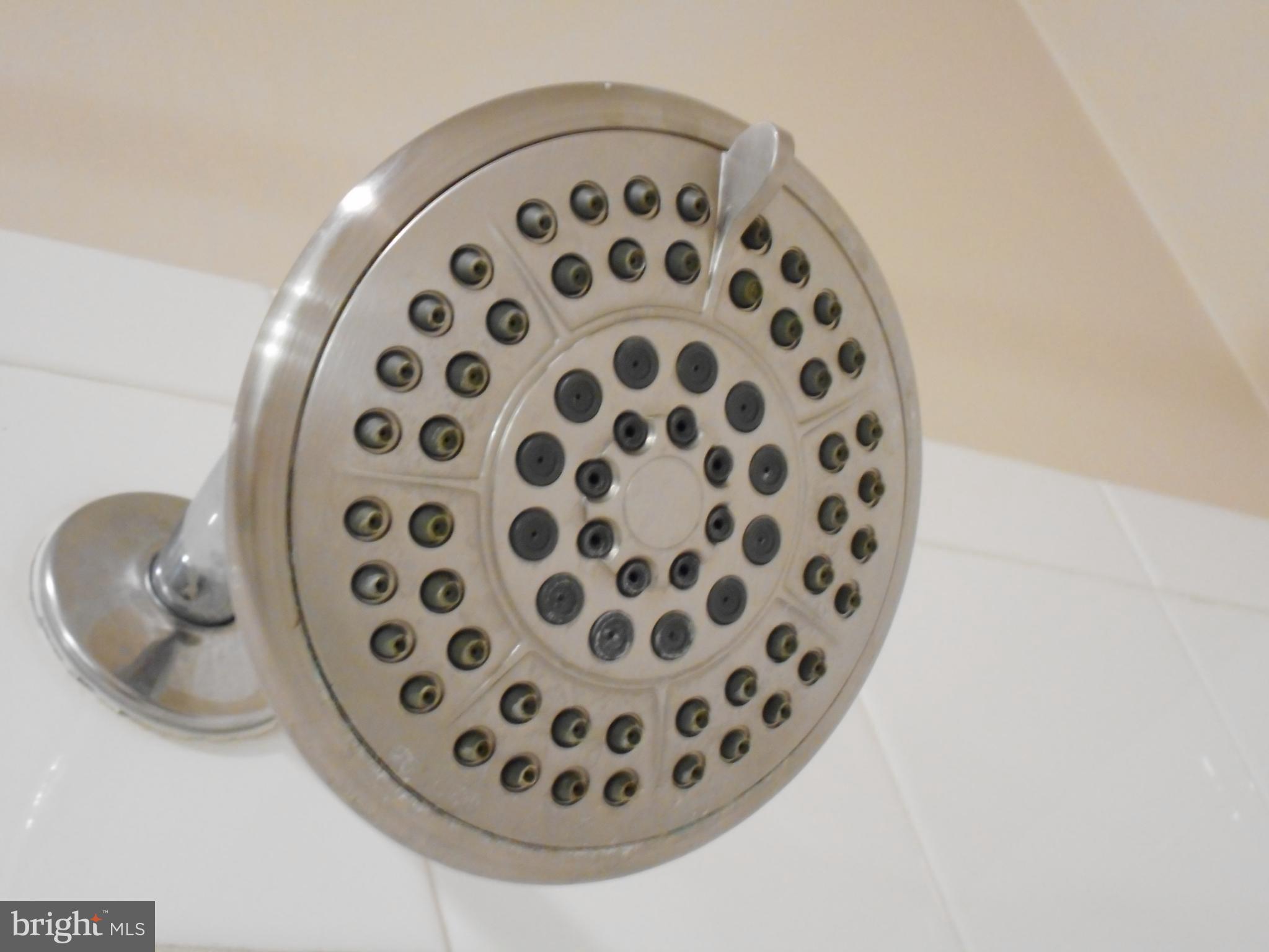 502 Sunset View Terrace Southeast, Unit 302 Leesburg, VA 20175 - Photo 28 of 50 Large shower head.