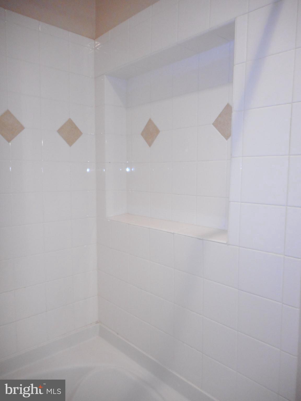 502 Sunset View Terrace Southeast, Unit 302 Leesburg, VA 20175 - Photo 29 of 50 Built in shelf area in shower.