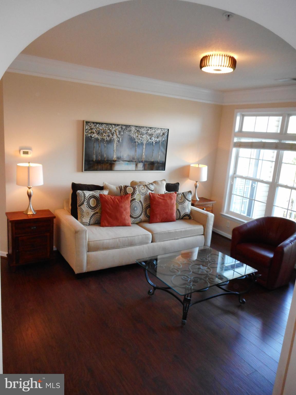 502 Sunset View Terrace Southeast, Unit 302 Leesburg, VA 20175 - Photo 4 of 50 Plenty of sunshine in gorgeous Living Room!