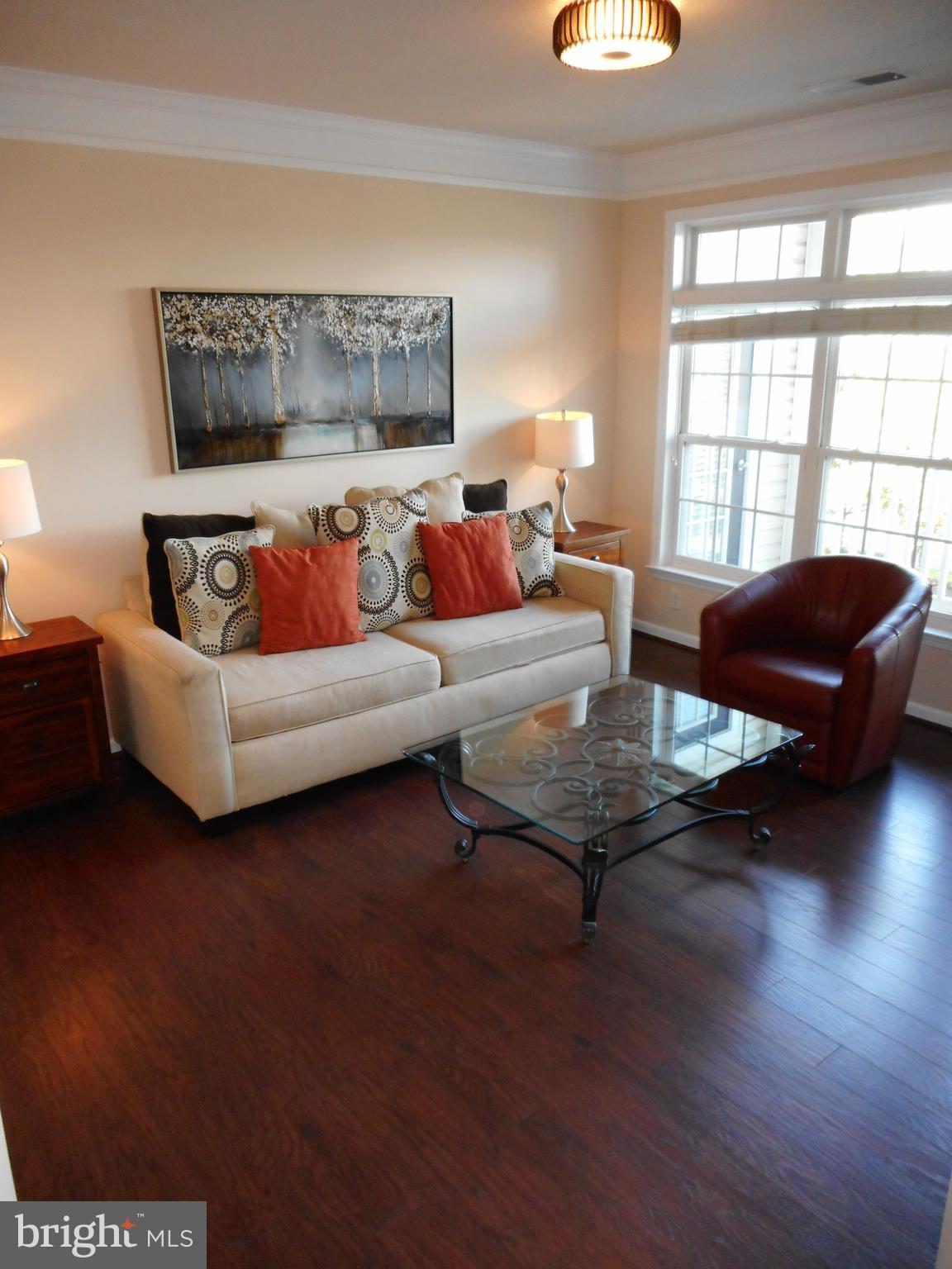 502 Sunset View Terrace Southeast, Unit 302 Leesburg, VA 20175 - Photo 5 of 50 Living Room