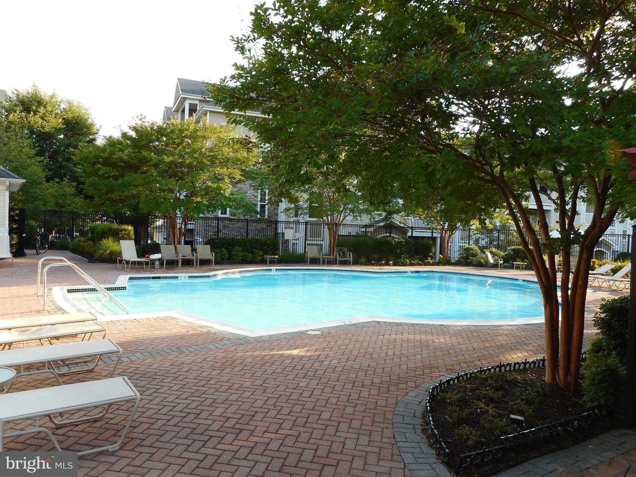 502 Sunset View Terrace Southeast, Unit 302 Leesburg, VA 20175 - Photo 46 of 50 Swimming pool