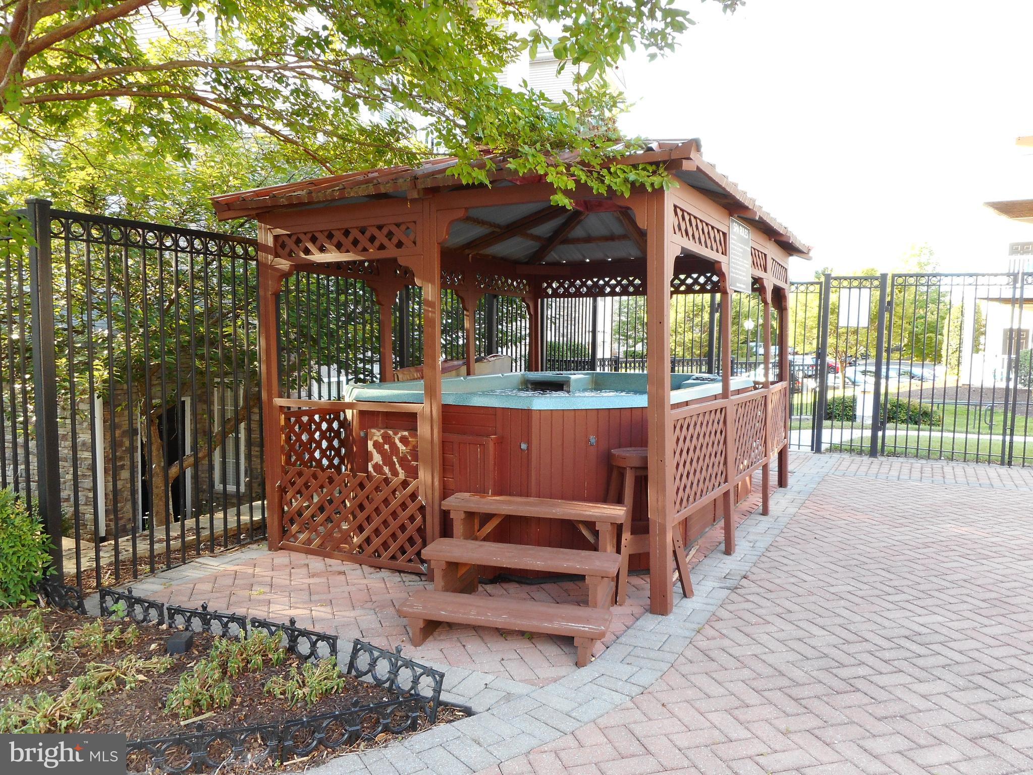 502 Sunset View Terrace Southeast, Unit 302 Leesburg, VA 20175 - Photo 47 of 50 Hot tub