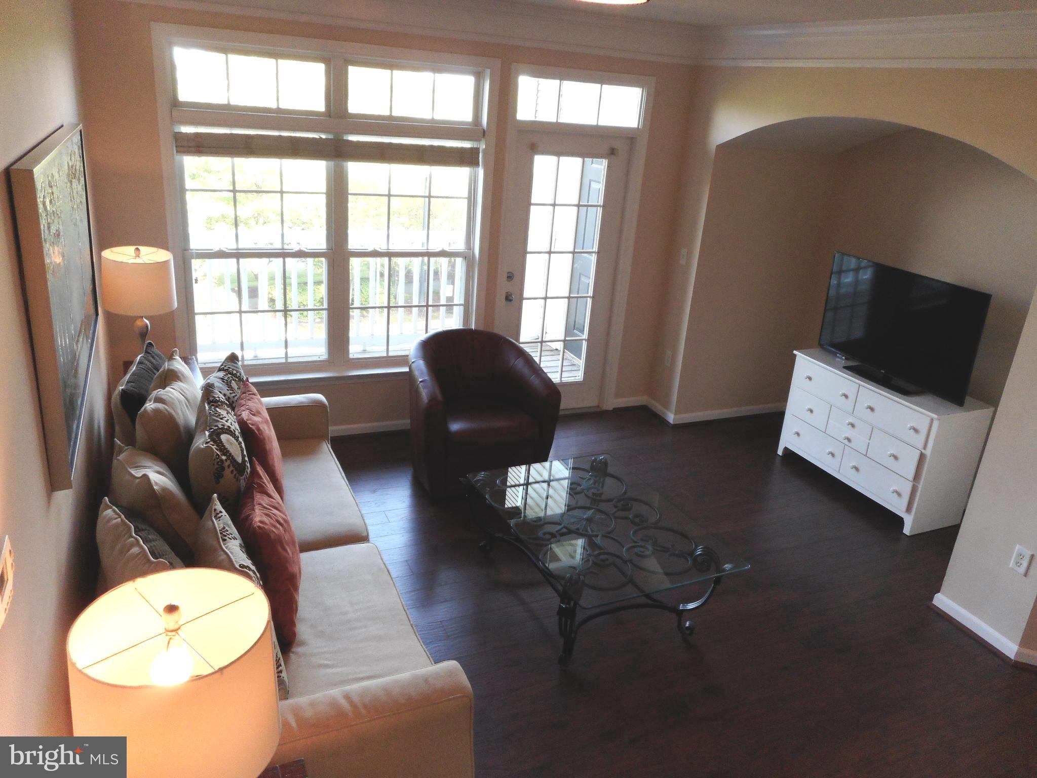 502 Sunset View Terrace Southeast, Unit 302 Leesburg, VA 20175 - Photo 6 of 50 Living Room