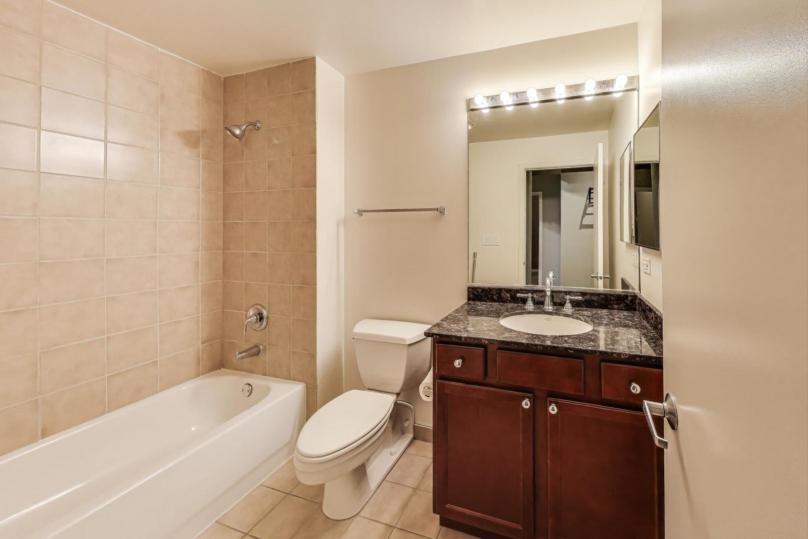 1071 West 15th Street, Unit 352 Chicago, IL 60608 - Photo 14 of 17