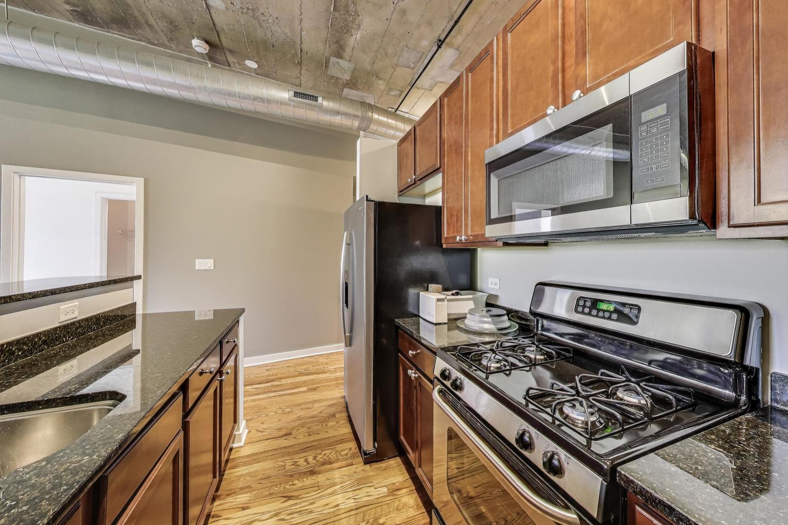 1071 West 15th Street, Unit 352 Chicago, IL 60608 - Photo 7 of 17