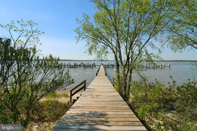 a view of a field of grass and trees