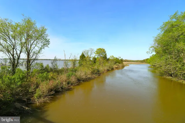 a view of a house with a big yard