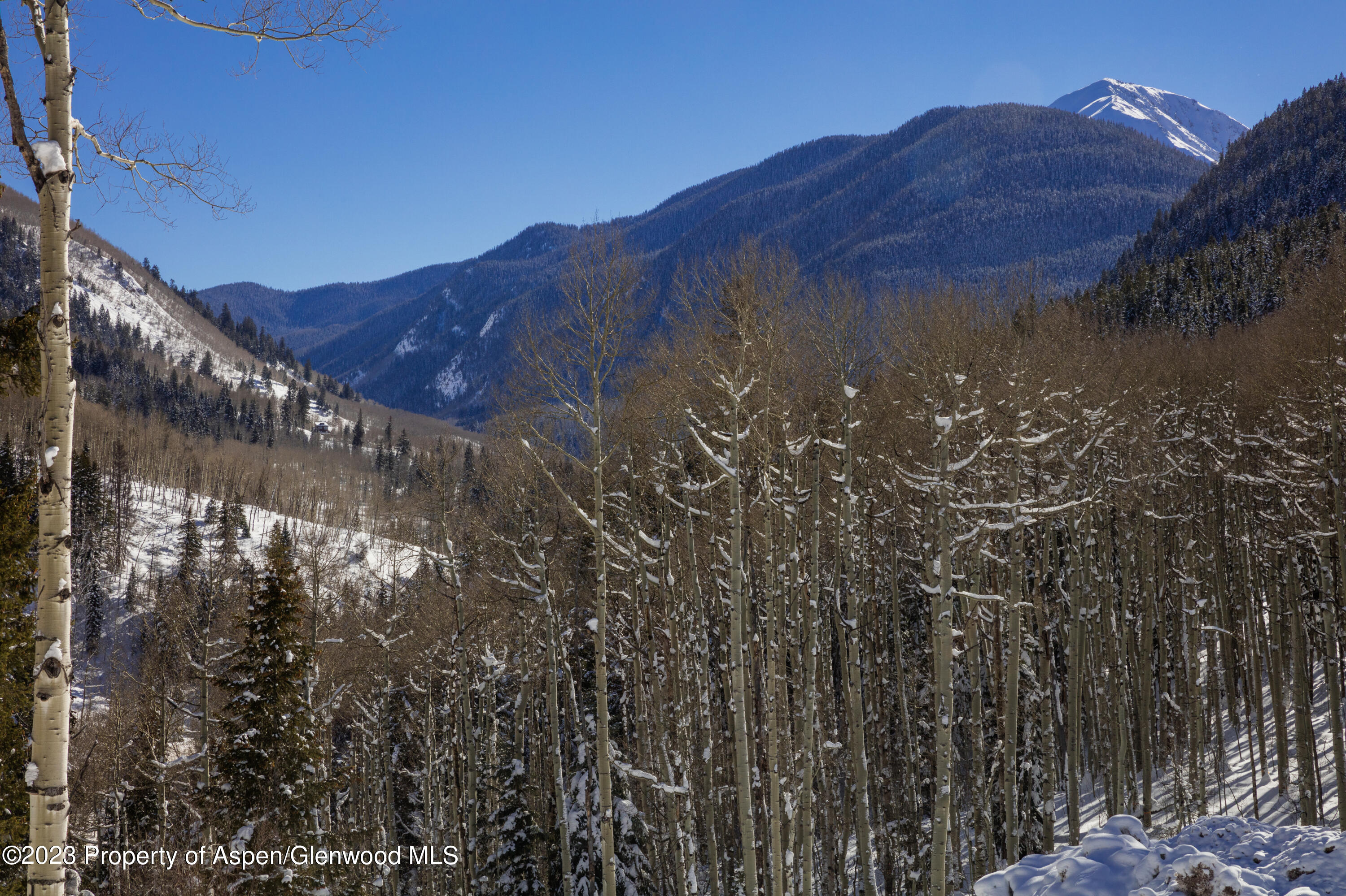 640 South Hayden Road Aspen, CO 81611 - Photo 33 of 42 18