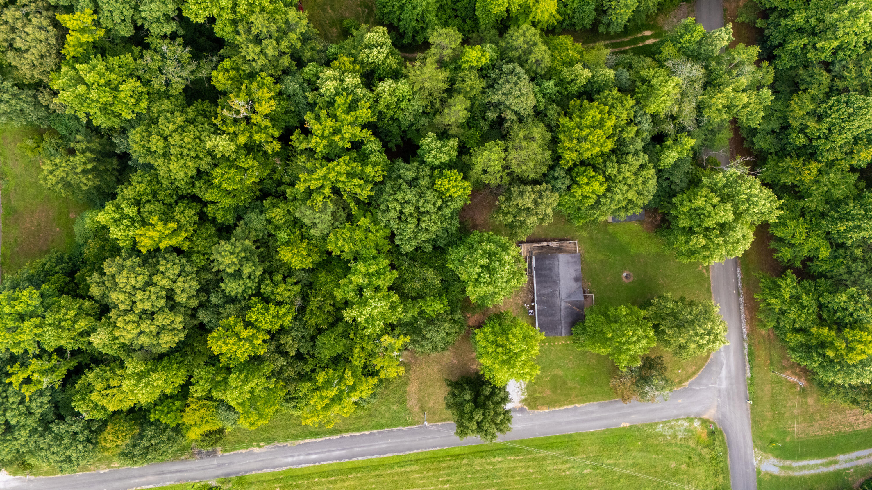 250 Kirkpatrick Road McDonald, TN 37353 - Photo 20 of 28 DJI_20240811182633_0314_777