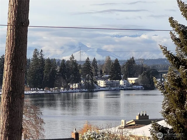 a view of a lake with a city
