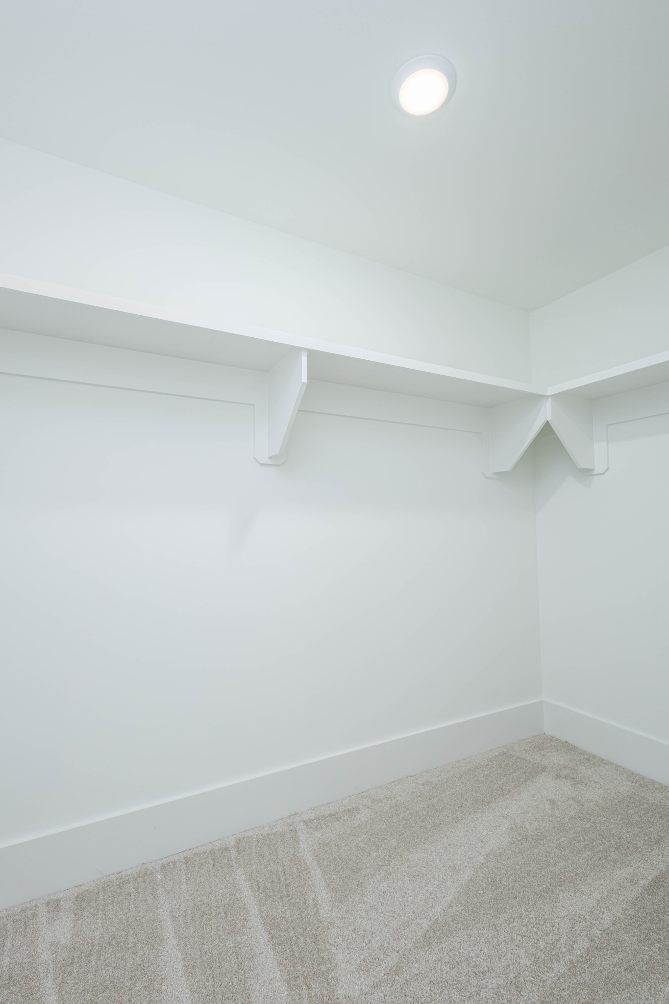 7771 Barnhill Road Primm Springs, TN 38476 - Photo 59 of 61