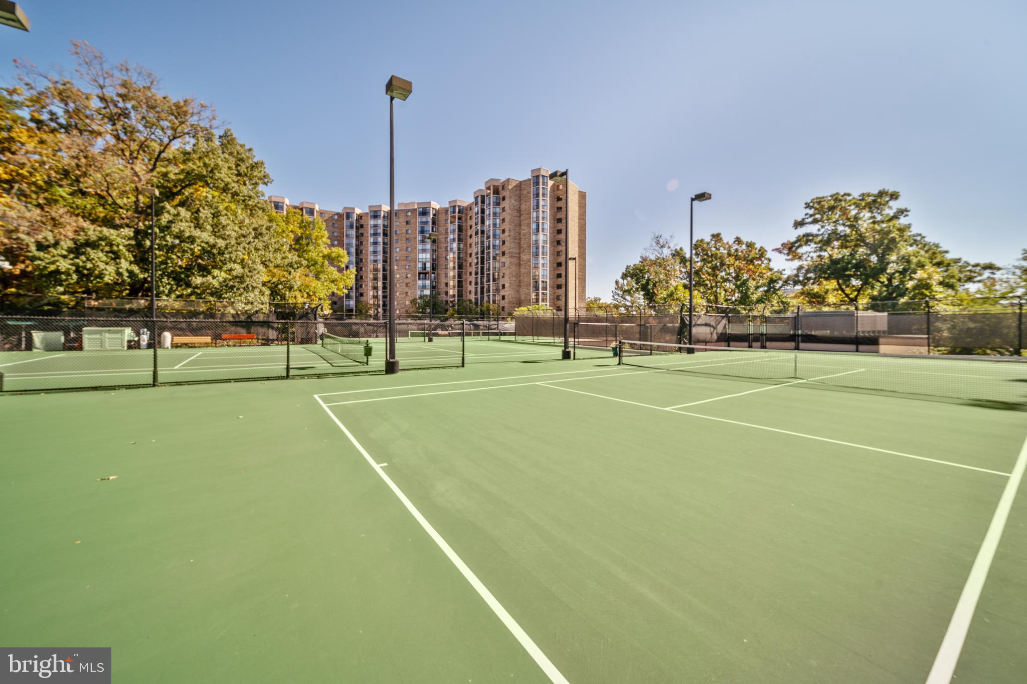 5902 Mt Eagle Drive, Unit 1206 Alexandria, VA 22303 - Photo 38 of 59 Tennis, Pickleball, and basketball courts