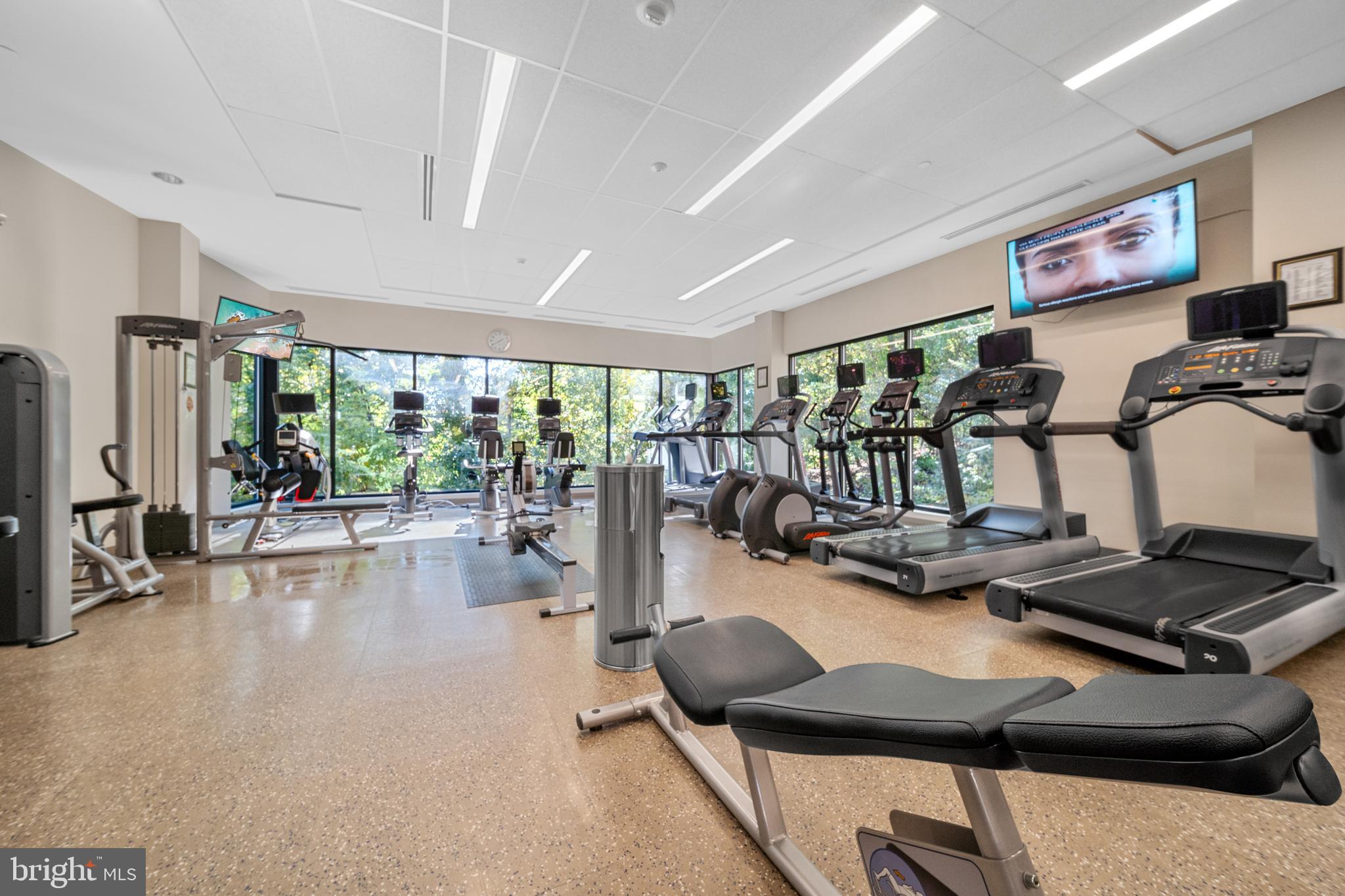 5902 Mt Eagle Drive, Unit 1206 Alexandria, VA 22303 - Photo 44 of 59 Fitness Center