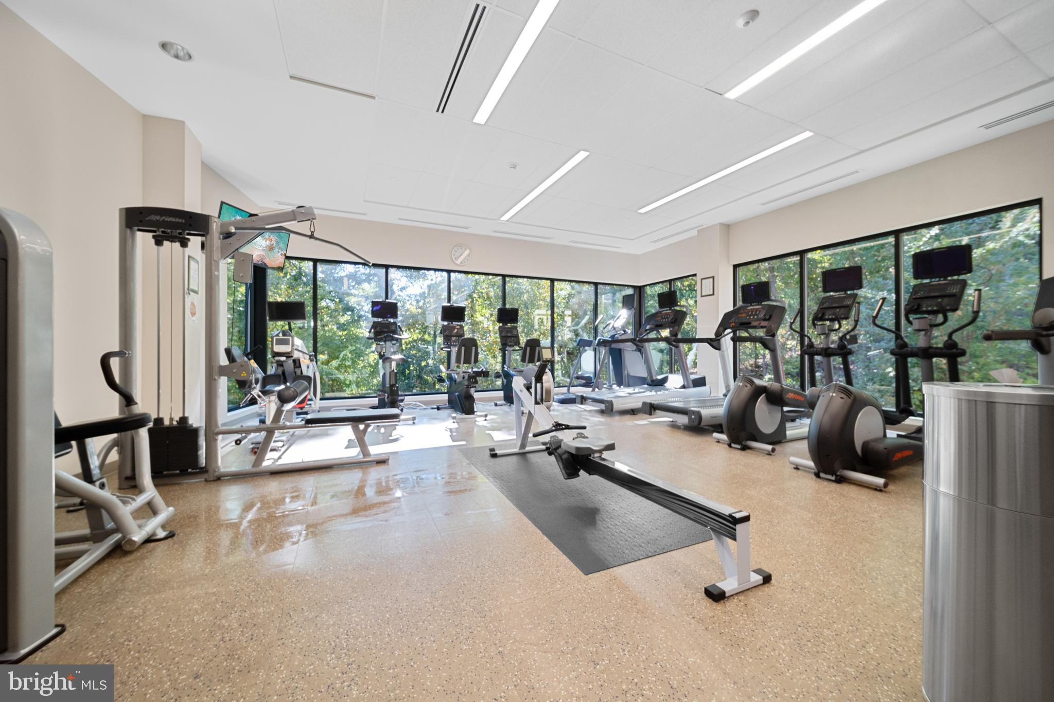 5902 Mt Eagle Drive, Unit 1206 Alexandria, VA 22303 - Photo 45 of 59 Fitness Center