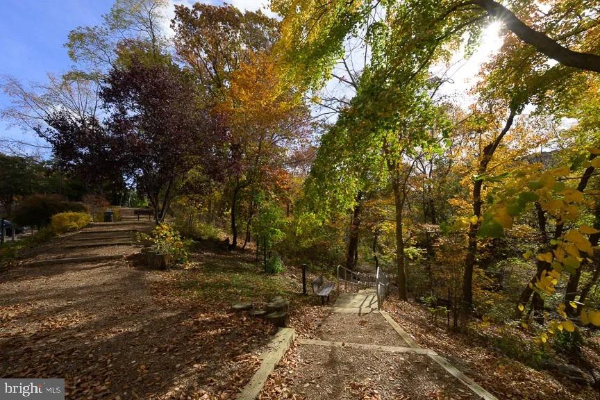 5902 Mt Eagle Drive, Unit 1206 Alexandria, VA 22303 - Photo 55 of 59 Hiking Trail