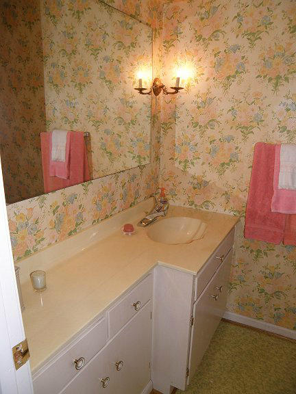 2239 Ranch Road Northwest Roanoke, VA 24017 - Photo 12 of 15 view of a bathroom with a sink and a mirror