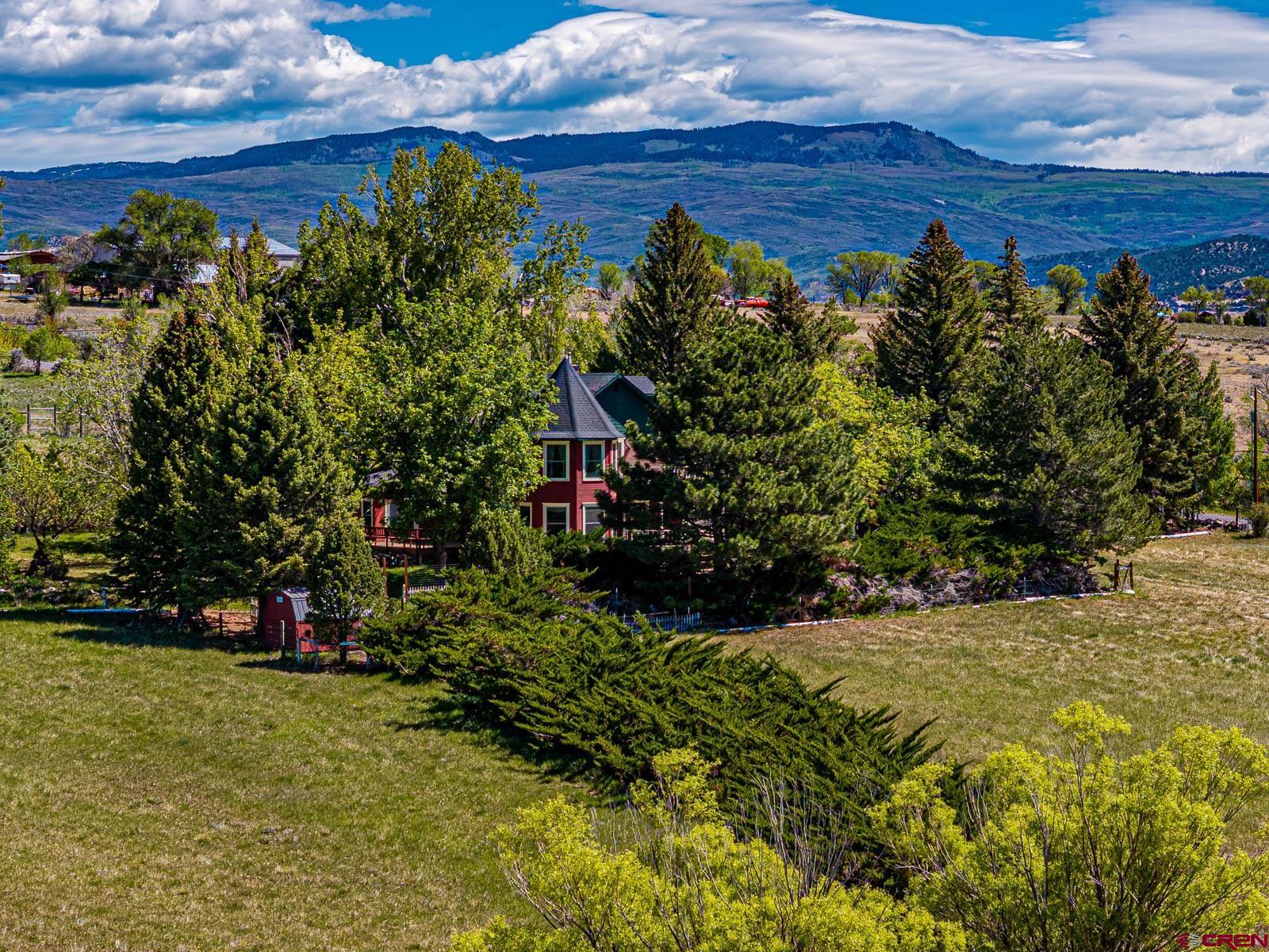 16331 2550th Road Cedaredge, CO 81413 - Photo 2 of 45 a view of a yard with plants and large trees