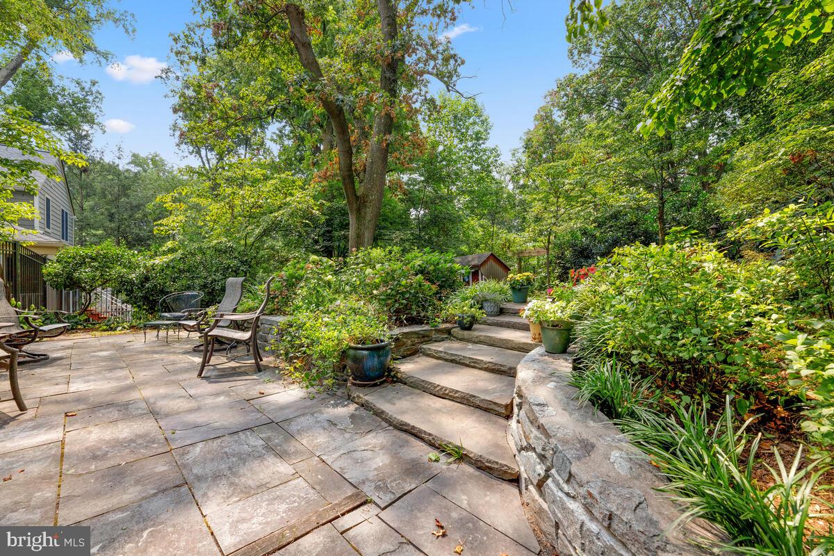 306 Windsor Street Silver Spring, MD 20910 - Photo 3 of 52 Gallery Image 3