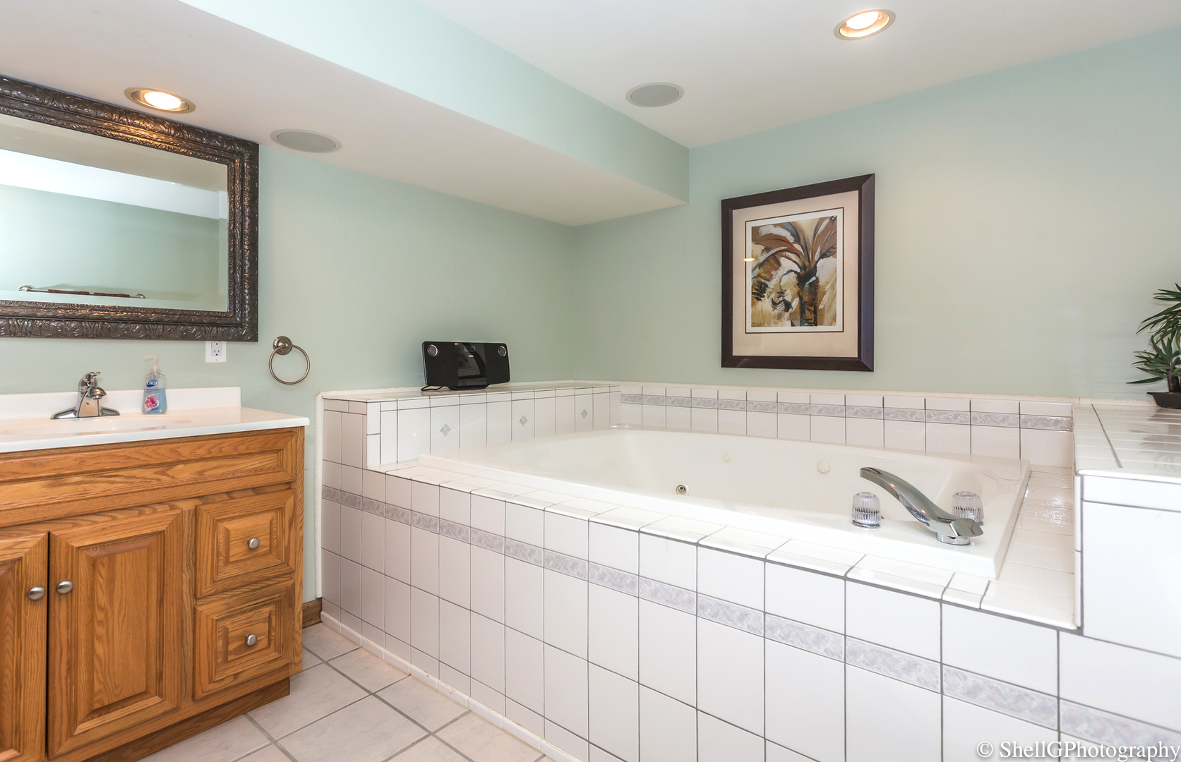 707 Amber Road New Lenox, IL 60451 - Photo 22 of 24 a bathroom with a sink and a bathtub