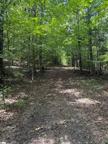 $699,900 | 518 McKittrick Bridge Road, Fountain Inn, SC 29644