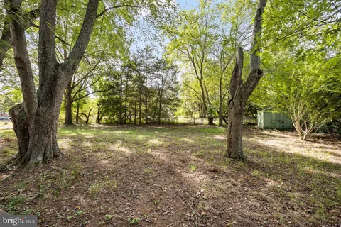 a view of outdoor space with trees