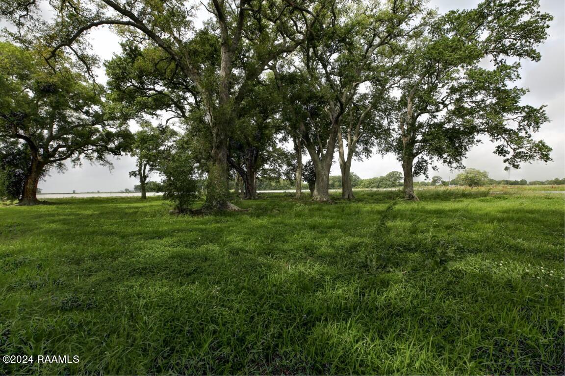 13004 Highway 3093 Kaplan, LA 70548 - Photo 3 of 50 13004LA3039-3