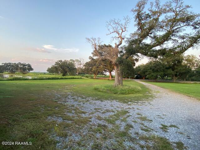 13004 Highway 3093 Kaplan, LA 70548 - Photo 48 of 50 IMG_6961