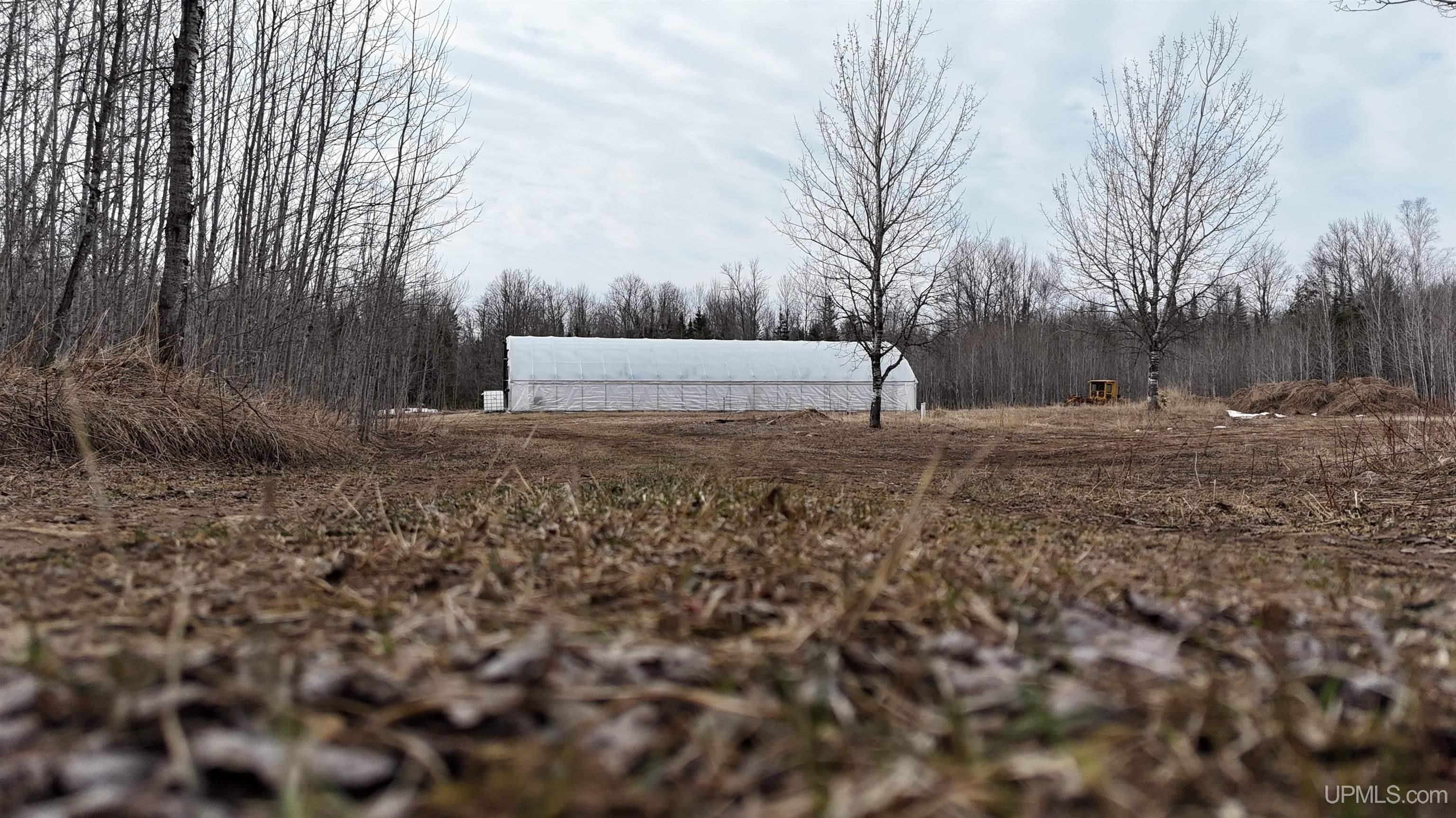 E3985 East 23rd Road Chatham, MI 49816 - Photo 19 of 33