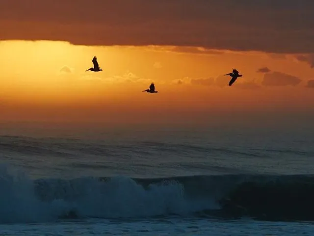 $299,000 | 3400 Northwest 47th Avenue, Unit 3161, Coconut Creek, FL 33063