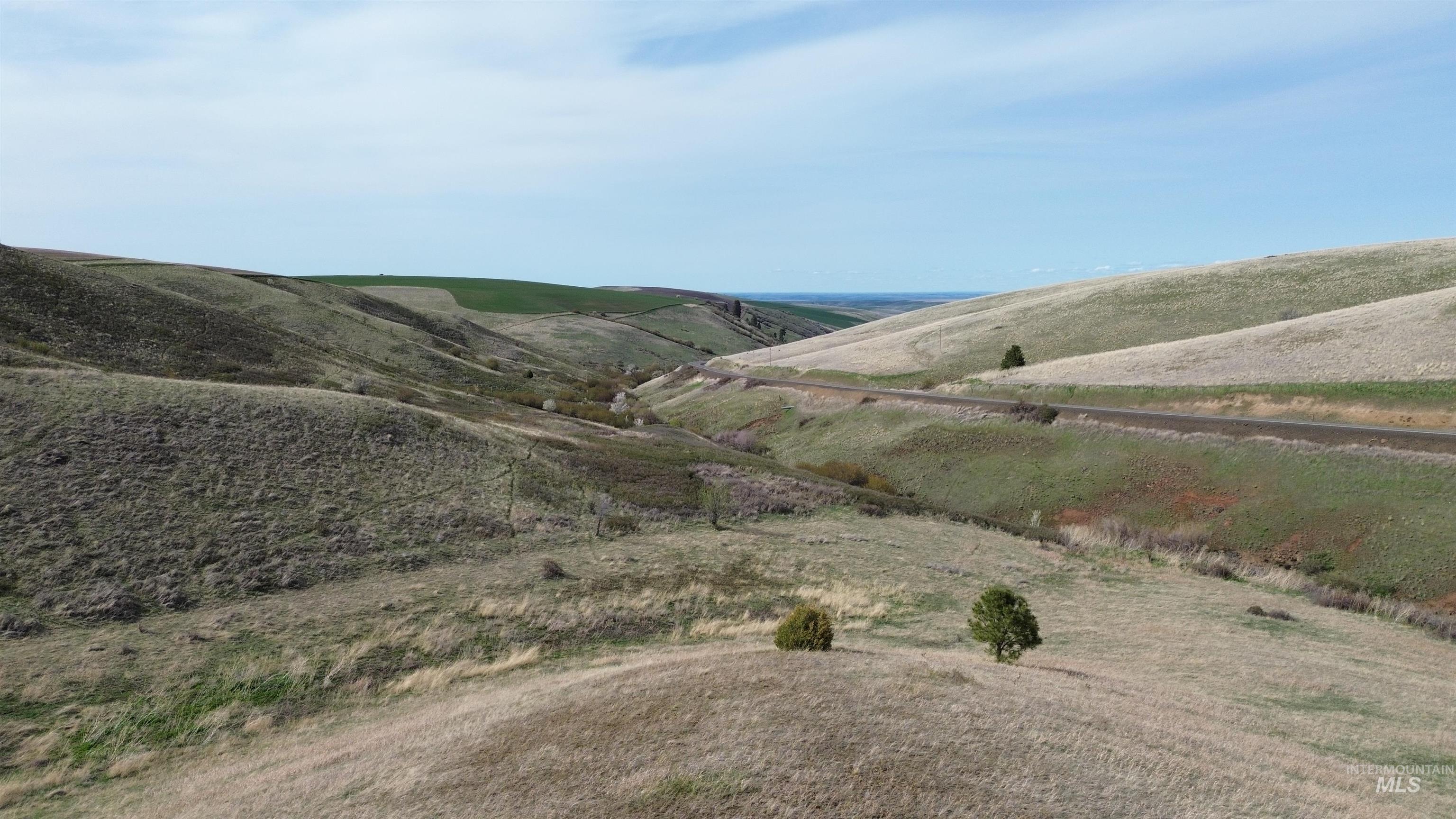 Nka Nka Blindgrade Road Pomeroy, WA 99347 - Photo 2 of 13