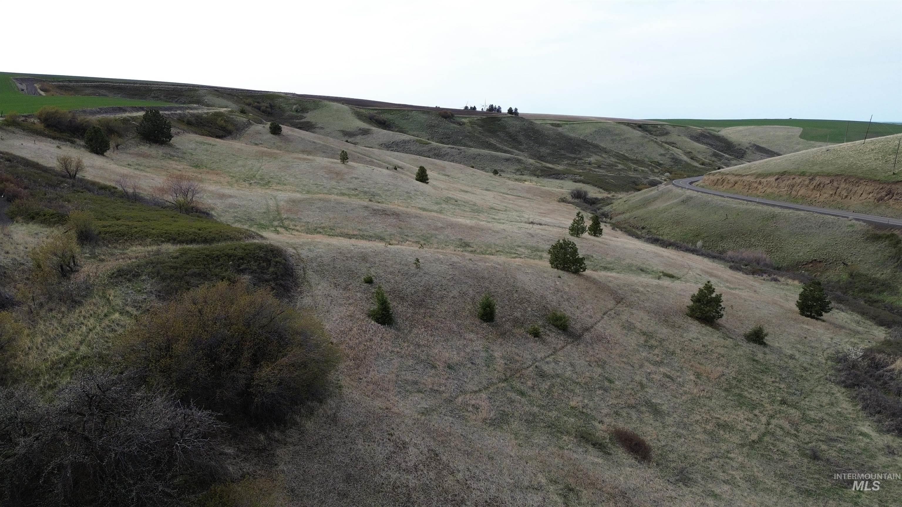 Nka Nka Blindgrade Road Pomeroy, WA 99347 - Photo 6 of 12